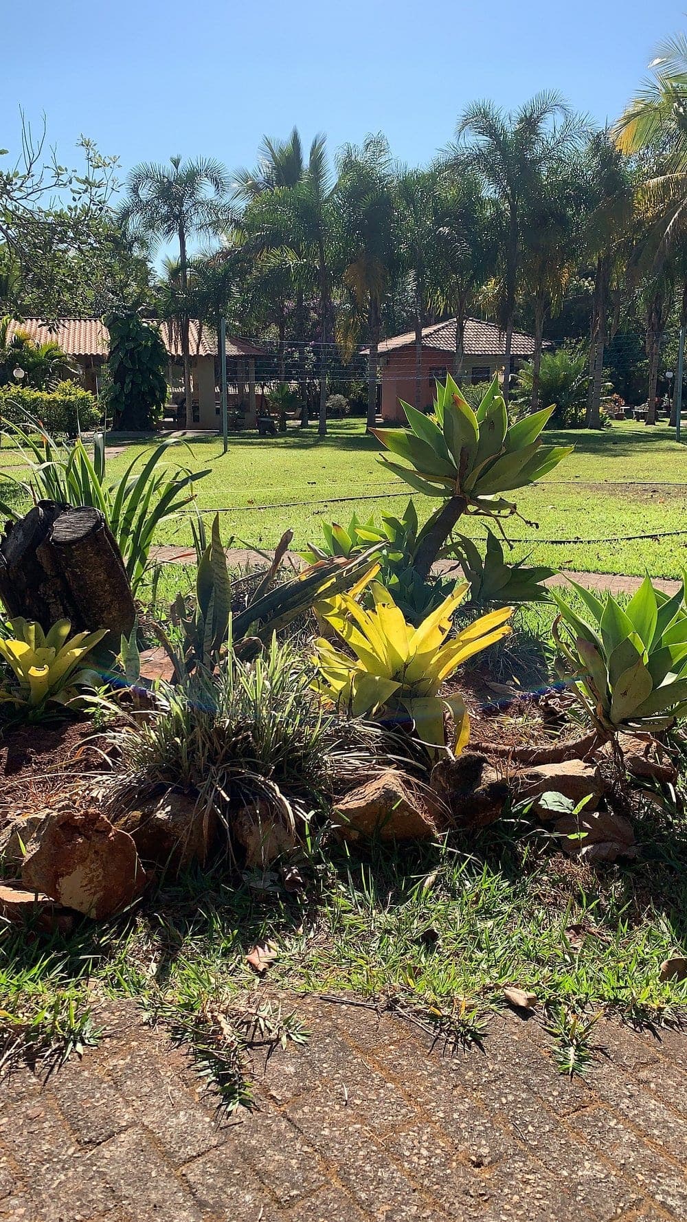Natureza do cerrado na pousada